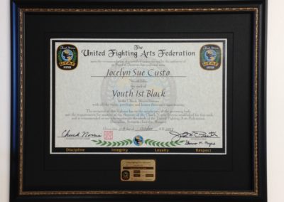 framed martial arts certificate